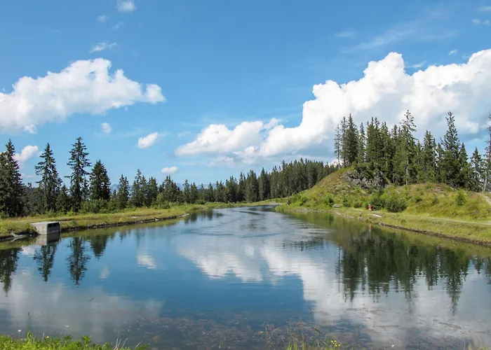 公寓 Bergart By Interhome 菲根